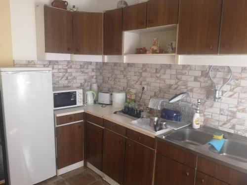 Sokobanja apartman Aviva