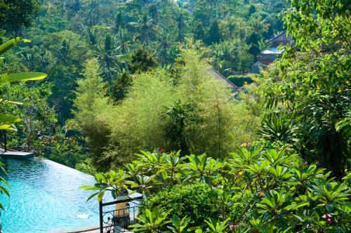 Ubud Dedari Villas