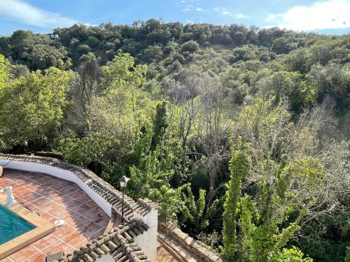 Hacienda La Trinidad, Córdoba (photo 3)
