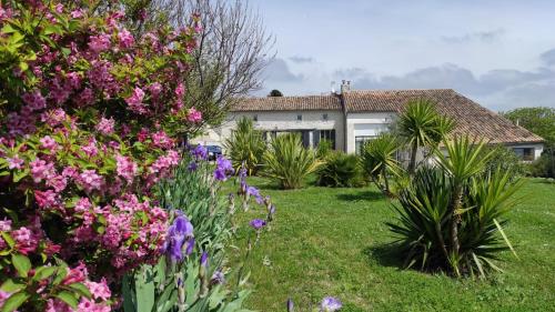 B&B Bel Agave