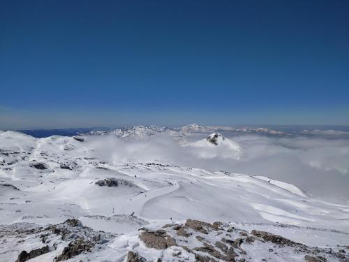 B&B Amphitryon - image 10