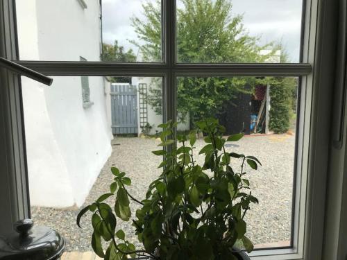 An Bothán-Cosy Cottage in the Cooley Mountains (An Bothan-Cosy Cottage in the Cooley Mountains) in Dundalk