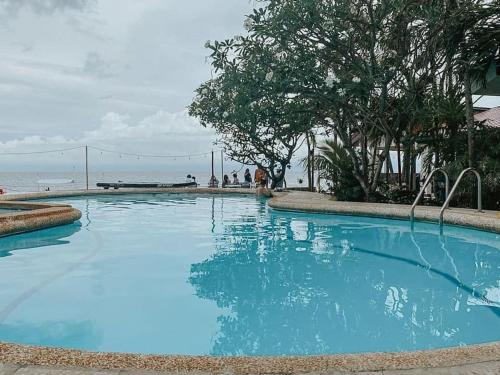 Swimming pool, Marina Village in Moalboal