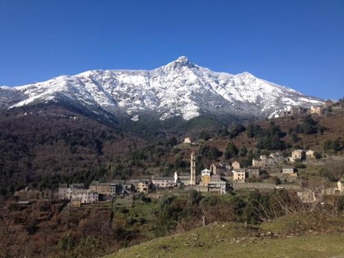 Superbe maison dans village au coeur de la Corse A casa Suttana