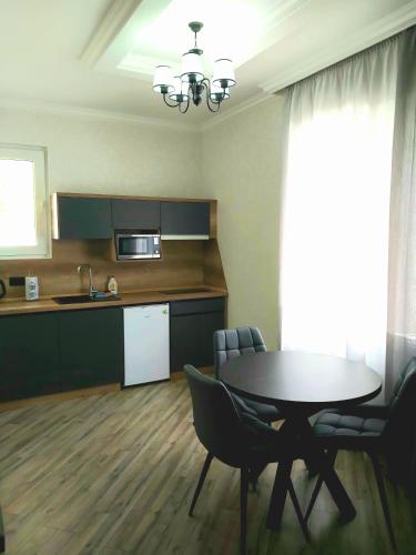 Cocina, White House Apart Hotel in Balti
