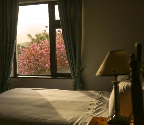Ben Breen House B&B - image 7