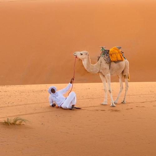 Caravanserai Luxury Desert Camp