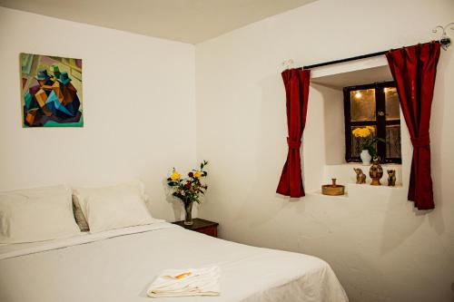 Pisko & Soul Hostel