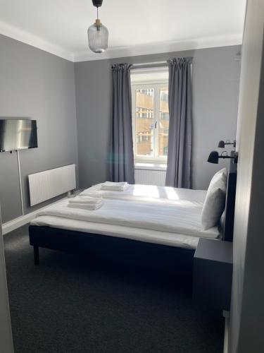 Birka Hostel - main image