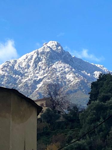 Superbe maison dans village au coeur de la Corse A casa Suttana