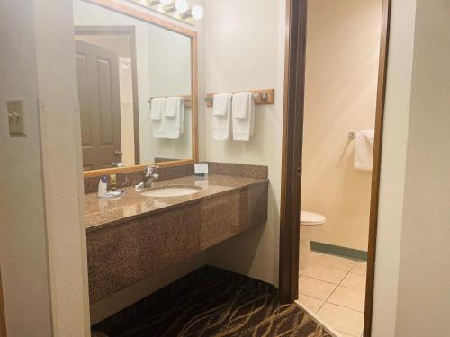 DYNAMIC by HOTEL INN - image 7