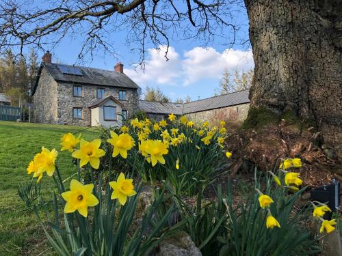 Cwm Bedw gîte à louer Abbey-Cwmhir