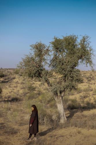 Kaner Retreat - India's First Desert Botanical Resort