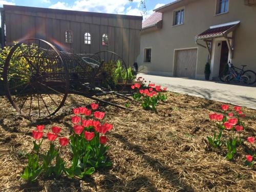 Ferienwohnung Schwalbennest-Großkoschen