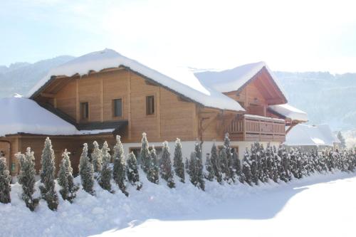Gîte Balnéo Au Coeur des Alpes - image 3