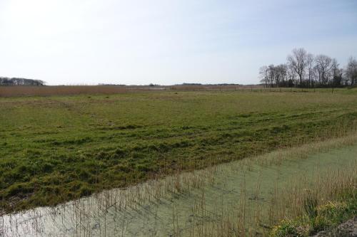 Hotel het Anker van Texel - image 3