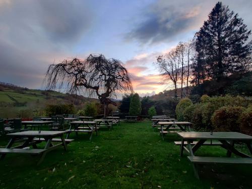 The Mortal Man Inn - image 12