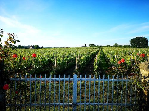 LA MAISON DES VIGNES SAINT EMILION