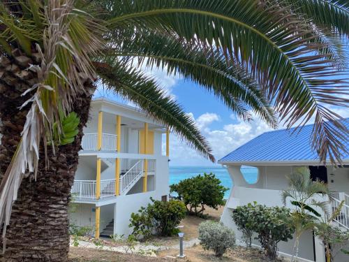 trädgård, Ocean SXM Studio in Saint Martin