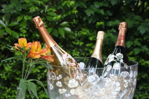 La Quinta de los Cedros - image 2