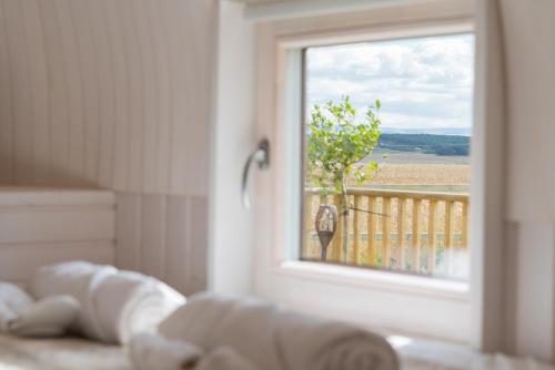 "Lammermuir" Rock & Castle Escapes in North Berwick