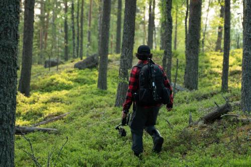 Olo Centre by Kolovesi Nature Park - image 10
