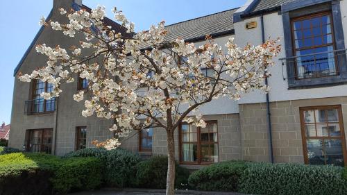 A környék, Roseford Apartment in Crail
