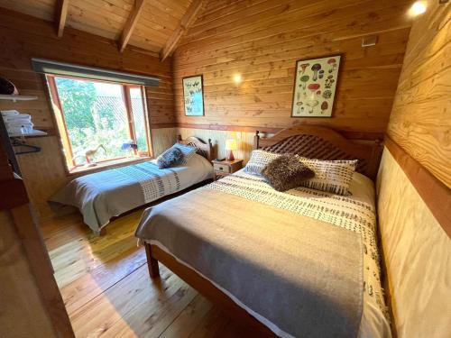 Hostal Pucon Sur