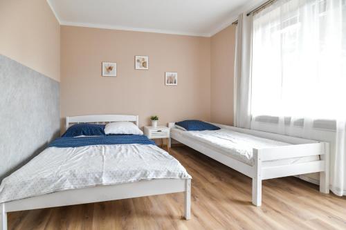 Apartament Zosienka