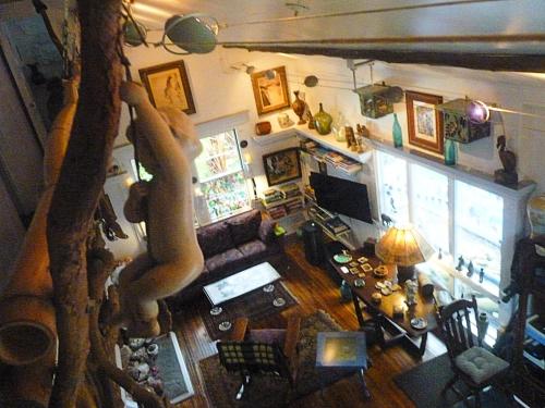Upcountry Volcano Mountain Cottage - image 11