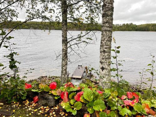 Villa Rock Saimaa - Tap to explore photos