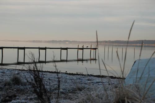 Hotel Pinenhus - image 10