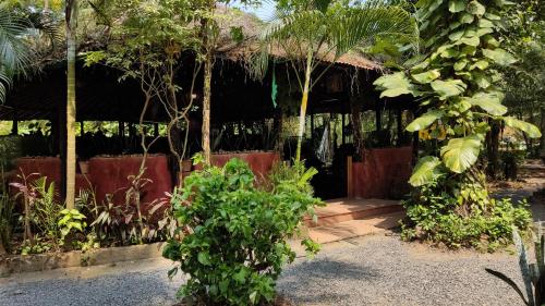 Life Farms - Near Mopa Airport Goa