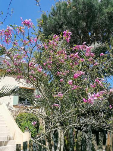 Guest House dans jardin exotique proche d'une voie verte