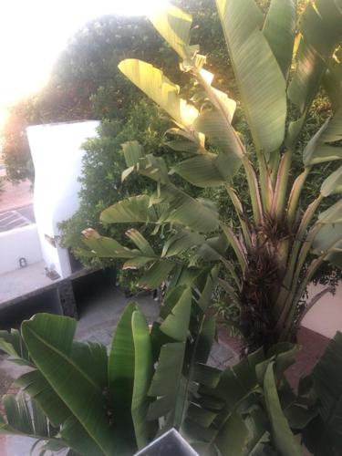 Old Cape on The Marina - The flamingo : unit 8, Velddrif (foto 7)