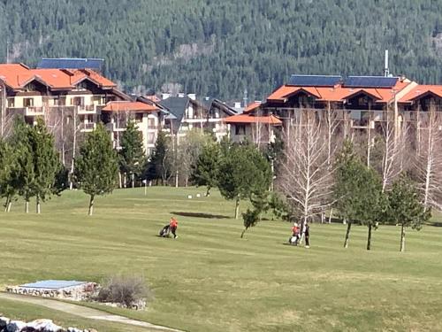 Entire Private Apartment in Pirin Golf & Country Club