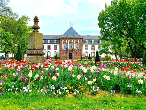 Charmant studio à Haguenau, à 25mn de Strasbourg - Niederschaeffolsheim
