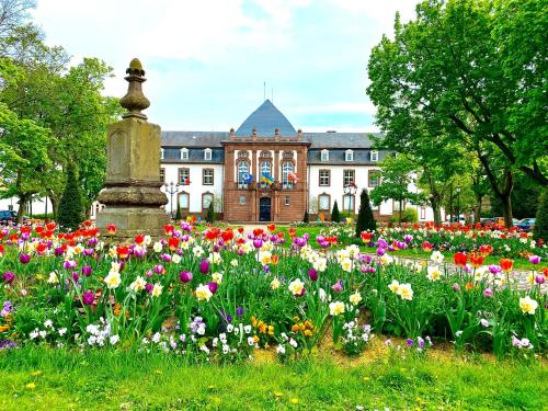 Charmant studio à Haguenau, à 25mn de Strasbourg - Location saisonnière - Haguenau