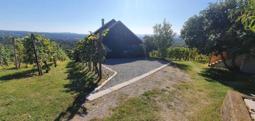 Vineyard Holidays Cottage with Jacuzzi