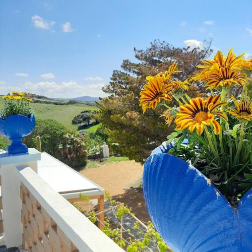 Lispusada Agriturismo Adults Only