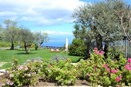 Sorrento View