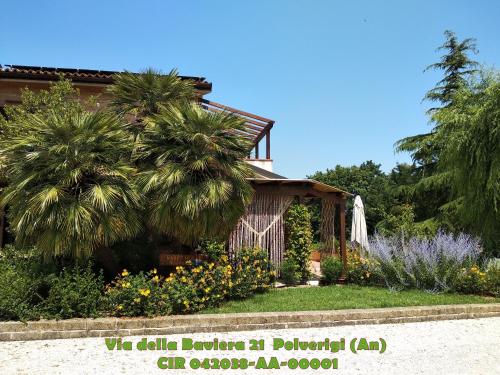 Food and beverages, B&B Timeout in Polverigi