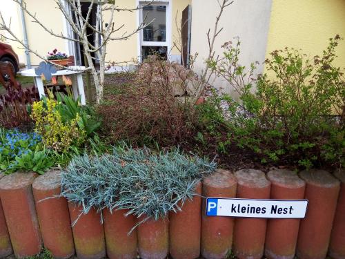 Kleines Nest in Lindenau