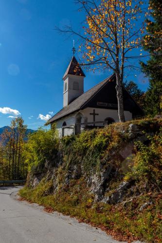 Holiday house Pokljuka - Bohinj