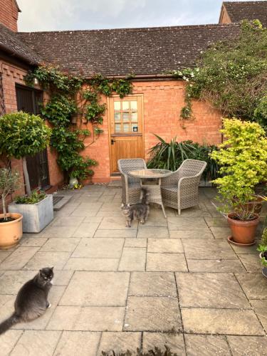 The Burrow in วาร์วิคก์ไชร์