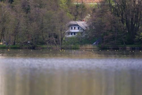 Apartments & Rooms Sebanc by Lake - image 10