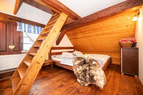 Apartmány Tollendorf Lužické hory - image 8