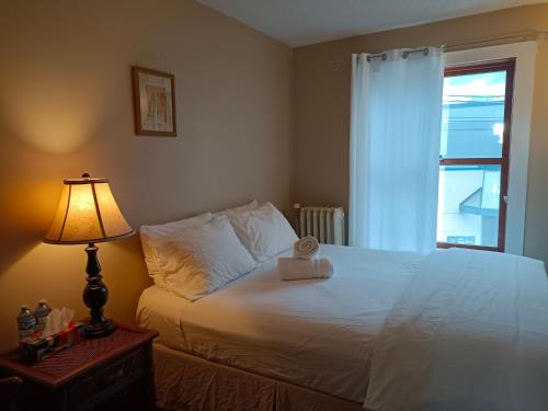 Painted Turtle Guesthouse