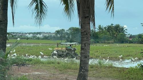 Bertam Cottage Penang in Kepala Batas