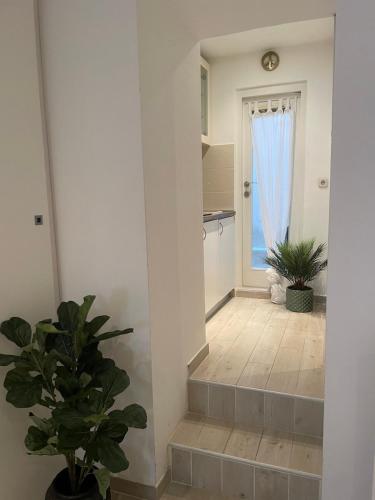 Noelle apartment in Rovinj